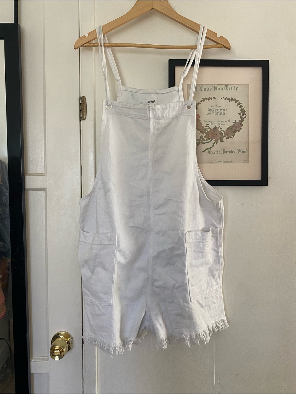 Aerie Overall Shorts with Frayed Hem